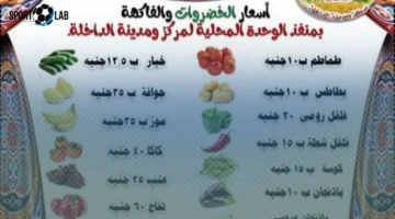 أسعار الطماطم والخضروات والفاكهة تصل إلى 10 جنيهات في الوادي الجديد